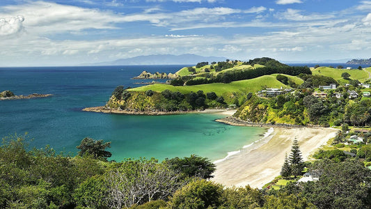 Exploring the Serenity of Yoga Retreats on Waiheke Island